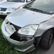 Un Dogo provoca un incidente, si cerca il padrone