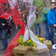 Festa dell�albero, l'incanto della primavera