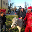 Grande festa del Cisvol a Santa Maria