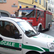 Catturato il pavone dopo otto giorni di fuga