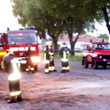  Forte vento: cade un albero in via Gaeta