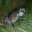 Schianto con la moto da cross: morti due giovani
