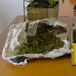 "Marijuana fai da te": arrestato un coltivatore