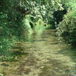 Ambiente, Pic-nic sul Pianalto
