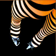 Alice: il programma 2008