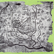 Insula Fulcheria del 2008 � verde