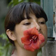 Il canto di Paloma