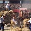 Formazione professionale per giovani agricoltori
