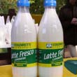 Firmato l'accordo sul prezzo del latte