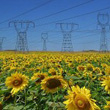 Bioenergie, in arrivo una legge regionale