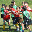 Crema Rugby, in campo il settore giovanile