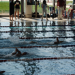 Crema Nuoto, 100 metri, due finali