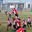 Crema Rugby orribile, Asola felice