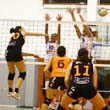 Golden Volley, brutta sconfitta col Parma 