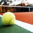 Tennis Club Crema: Memorial Genesio
