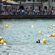 A nuoto da Predore a Iseo 