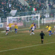 Pergo in paradiso