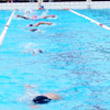 Citt� di Crema: vince la Ispra Swim Planet