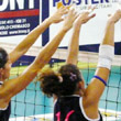 Crema Volley: dopo Flero, stasera Cologno