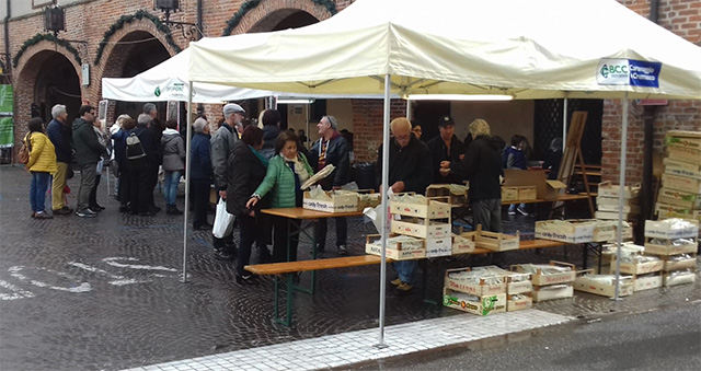 Radice amara 2018, a Soncino grandi numeri