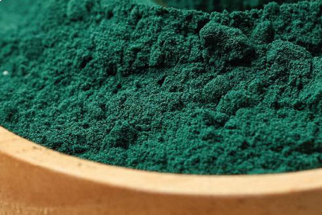 Rivolta d'Adda. ''Spirulina, l'alga del benessere''