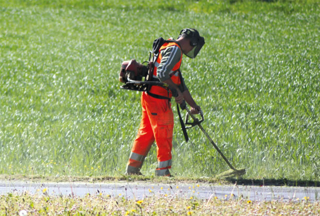 Verde pubblico: manifestazione d’interesse