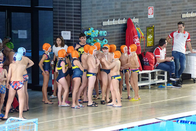 Pallanuoto. Promozione, prima di campionato