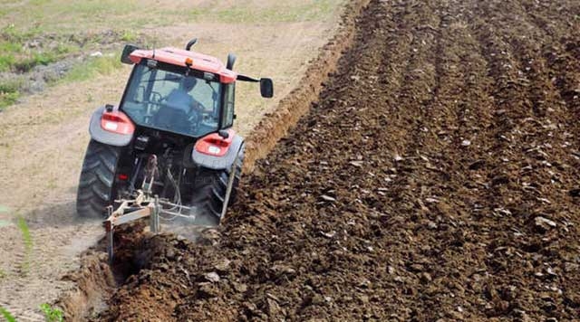 Bando per sostenere i giovani in agricoltura
