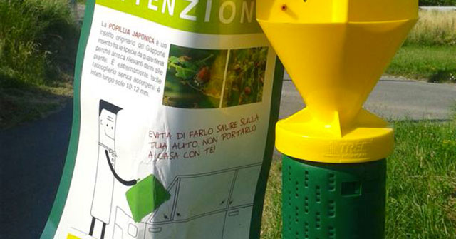 Pianengo: reti contro la Popillia japonica