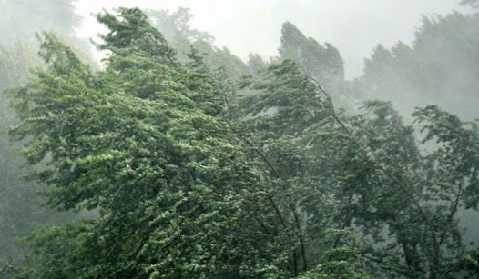 Crema, parchi chiusi per allerta meteo