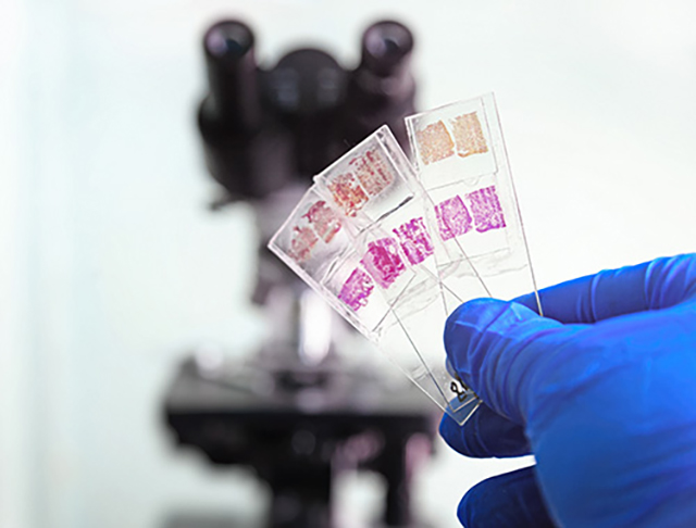Asst, fondi in arrivo per la digital pathology