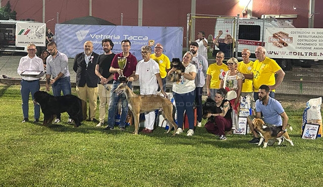 Mostra canina: vince il levriero di Salmistraro