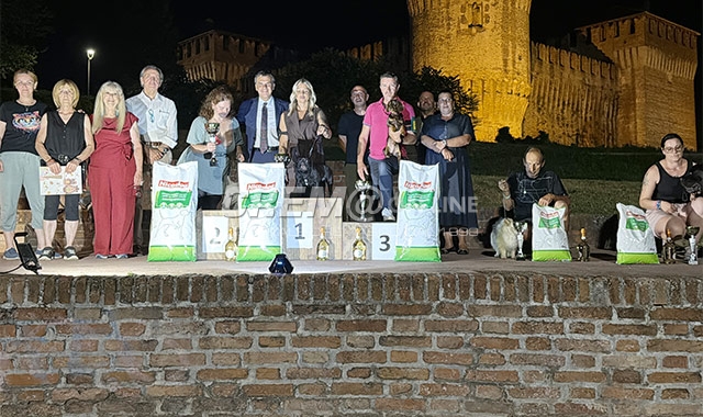 In notturna la mostra canina ‘memorial Brizio’