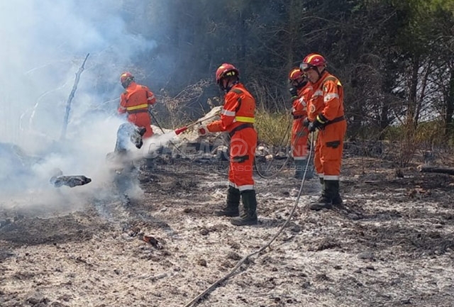 Dalla Lombardia volontari contro gli incendi